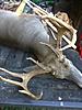 GA buck down-img950167.jpg