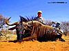 2014-15 Success photos-wildebeest2.jpg
