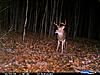 Scoring help....-cdy_0023.jpg