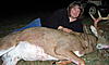 what would this deer score?-2009-deer-3.jpg