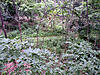 My new spot.-7.jpg