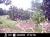 Oklahoma Ten Pointer down-neds-house-033.jpg