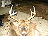 November 3rd IOWA BUCK  Whats he score?-dsc01746.jpg