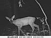 Monster Buck, would you take?-sunp0101.jpg