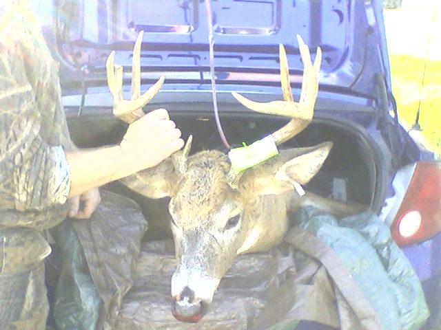 Name:  2009 10 Point Bow buck 2.jpg
Views: 245
Size:  51.7 KB