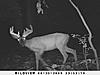 Monster Buck, would you take?-ddr.jpg