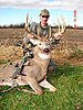 my monster typical 10 pointer-my-buck.jpg