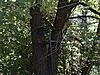 Pictures of your tree stands from the ground-2005_08210014.jpg