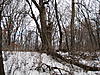 Pictures of your tree stands from the ground-img_0114.jpg