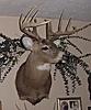 buck with bow during gun season-image002.jpg