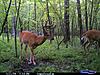 09 Takem Down-cdy_0096.jpg