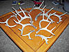 great shed hunting weekend(with pic on pg 2), thanks dave-sheds2.jpg