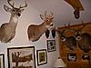Post Pictures of your TROPHY ROOMS!!!-mancave_email.jpg