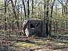 Oklahoma Turkey with my Elite Z28-picture-1567.jpg