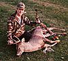How do you apply your deer lure ?-scan0001.jpg