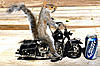 Rhino shoulder mount, raccoon mount and others. Check out list below-biker-squirrel.jpg