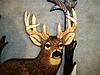 Bowhunter &amp; Whitetail Buck Relief Wood Carving - &quot;Moment of Truth&quot;-100_5903.jpg
