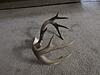 My First Ten Point-img_8763.jpg