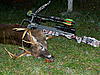 Excalibur arived Sat. kill buck Mon.-buck-3-2009-2.jpg