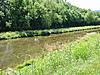 Fished a small creek today....-creek-view.jpg