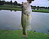 I been doin some fishing-img00485.jpg