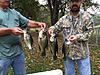 2015 Fish Picture Gallery-img_1587.jpg