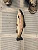 2015 Fish Picture Gallery-img_1564.jpg