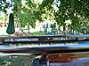 wts rem 870 deer hunter tribute shotgun-guns-036.jpg