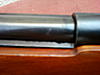 Name of this shotgun?????-photo-0038.jpg