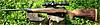 First Rifle - X-Bolt vs A7-blaser3.jpg