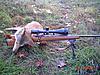 building a custom rifle-dsc00242.jpg