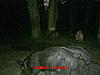 check cameras yesterday-083.jpg