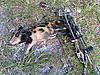 First hog with a bow...-img_0120.jpg