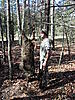Big boar-img_3965.jpg