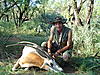 Scimitar-horned oryx-kens-last-pictures-010.jpg