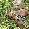 Big Island billy-goat-rifle.jpg