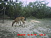 First Axis we have seen on lease-10309a093-vi.jpg