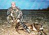 Lets see some of your Hogs-Exotic pics-scan0035.jpg