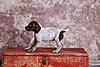 National Champion Sired GSP Pups-female_5b.jpg