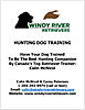 Hunting Dog Training-e7017ae7-734a-4862-9052-8b6149ee7c6a.jpeg