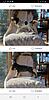 Majestic hound pups for sale 400.00-screenshot_20191013-162919_facebook.jpg