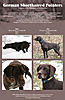 AKC/NAVHDA Liver GSP breeding MH/VC Bloodlines (NY)-flyer-web-friendly.jpg