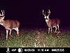 Ne missouri or se iowa trophy whtetail deer hunt-icam0010.jpg