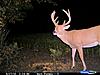 Kansas Hunting Property w/ Food and Lodging-fat-large-.jpg