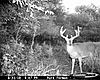 Kansas Hunting Property w/ Food and Lodging-cdy_0094-large-.jpg