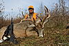 Full Draw Hunts- Quality Based Western Illinois Whitetail Hunts-img_0385.jpg