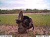 2011 Kansas Deer and Turkey Hunts-31560_1459624609078_1187280037_1342580_2207943_n.jpg