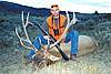 Colorado hunts still available-bigrackelk2.jpg