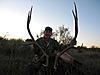 Texas Elk Hunt-elk1.jpg