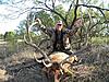 Texas Elk Hunt-elk2.jpg